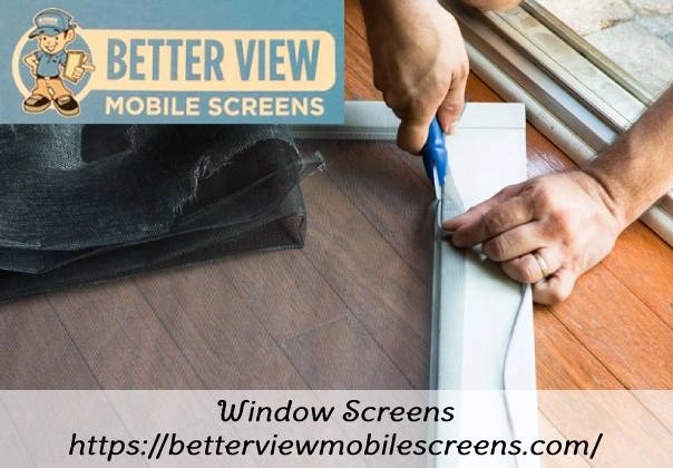 Window Screens